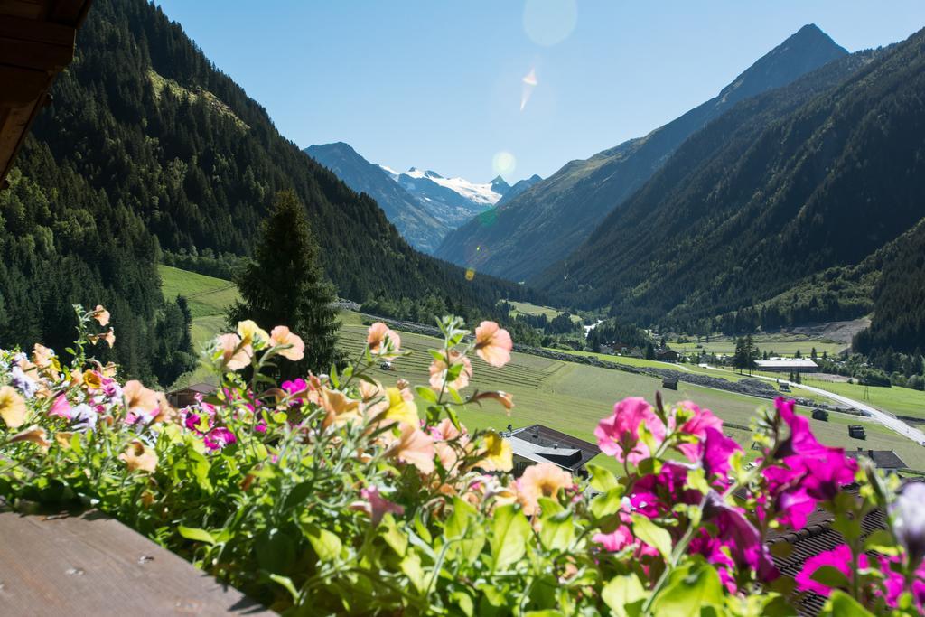 Haus Mary Lejlighed Neustift im Stubaital Eksteriør billede